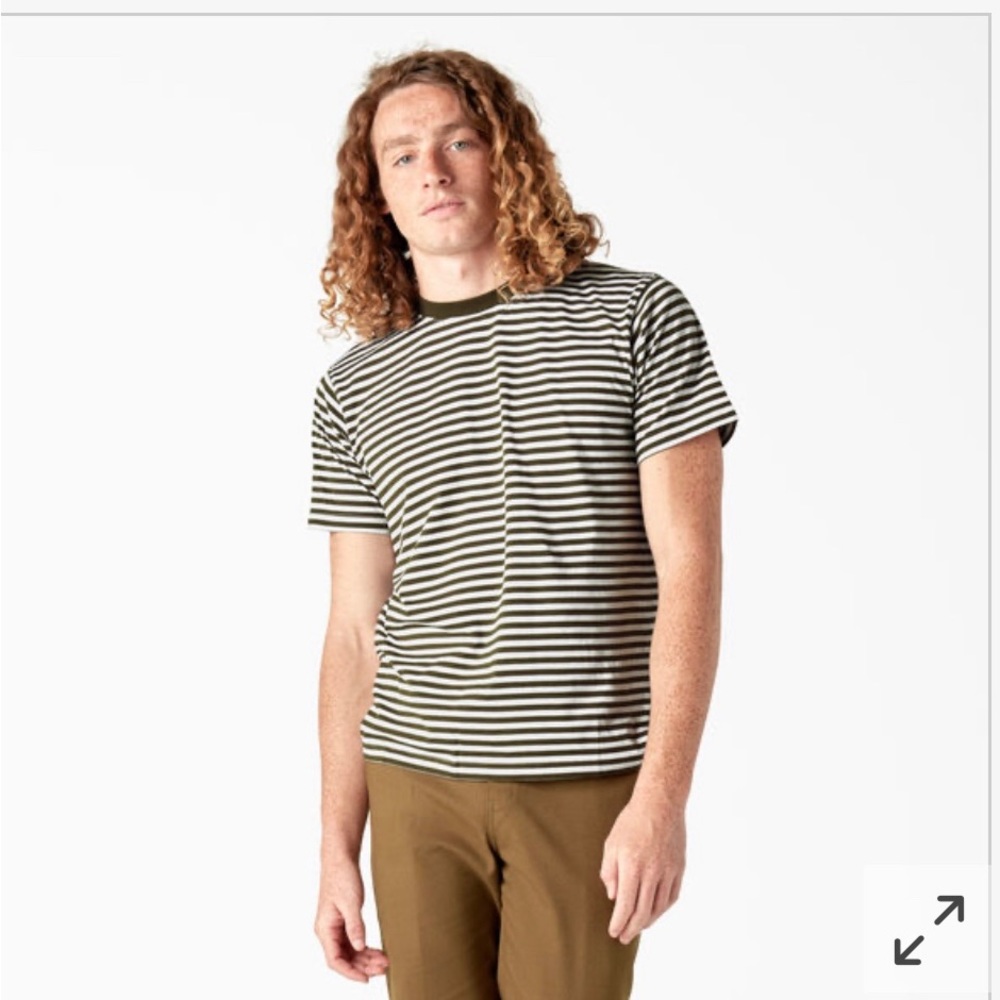 Dickies Skateboarding Striped T-Shirt, Fired Brick Stripe L
